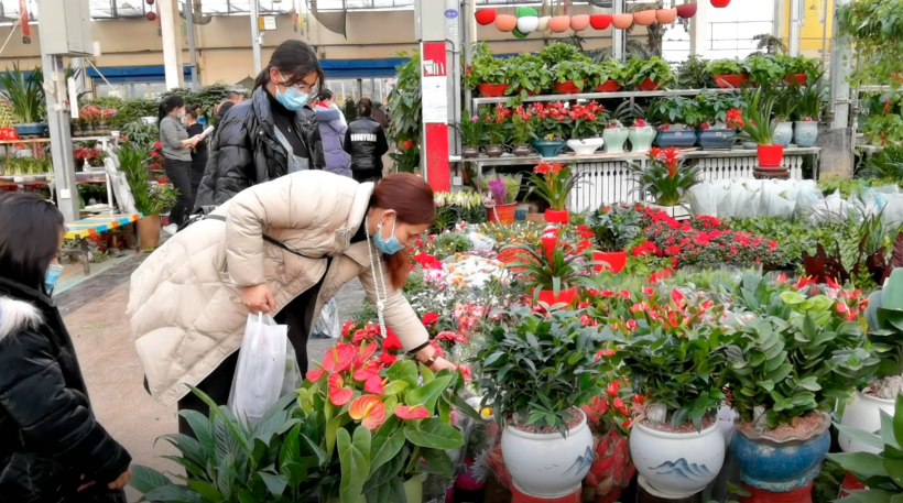 QQ图片20221227005851