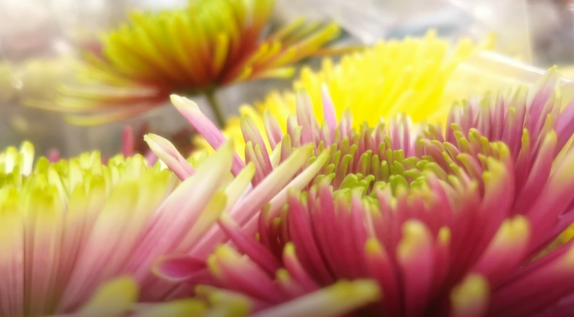 QQ图片20221227005915