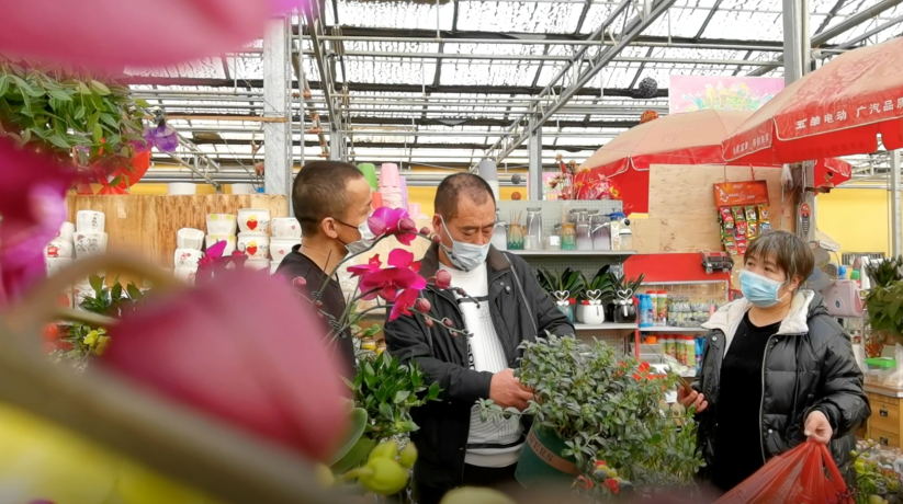 QQ图片20221227005923