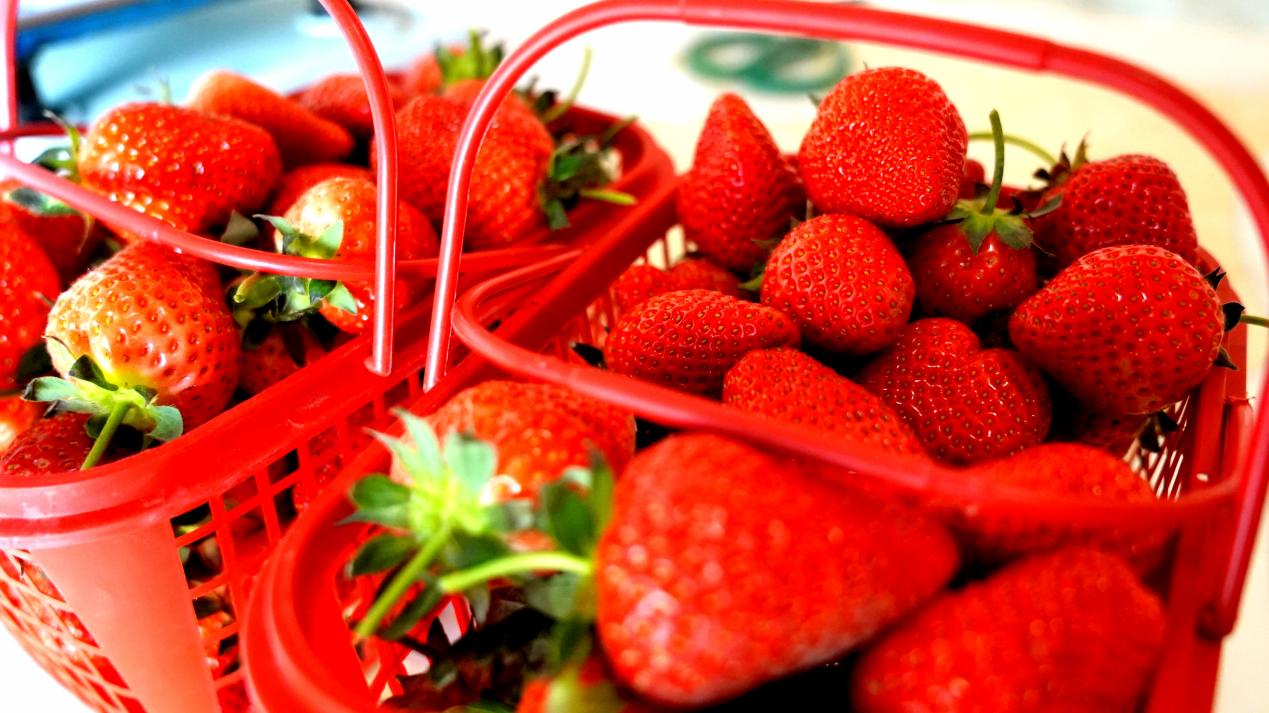 0ad7d52c1c25e36d71404176f63a033