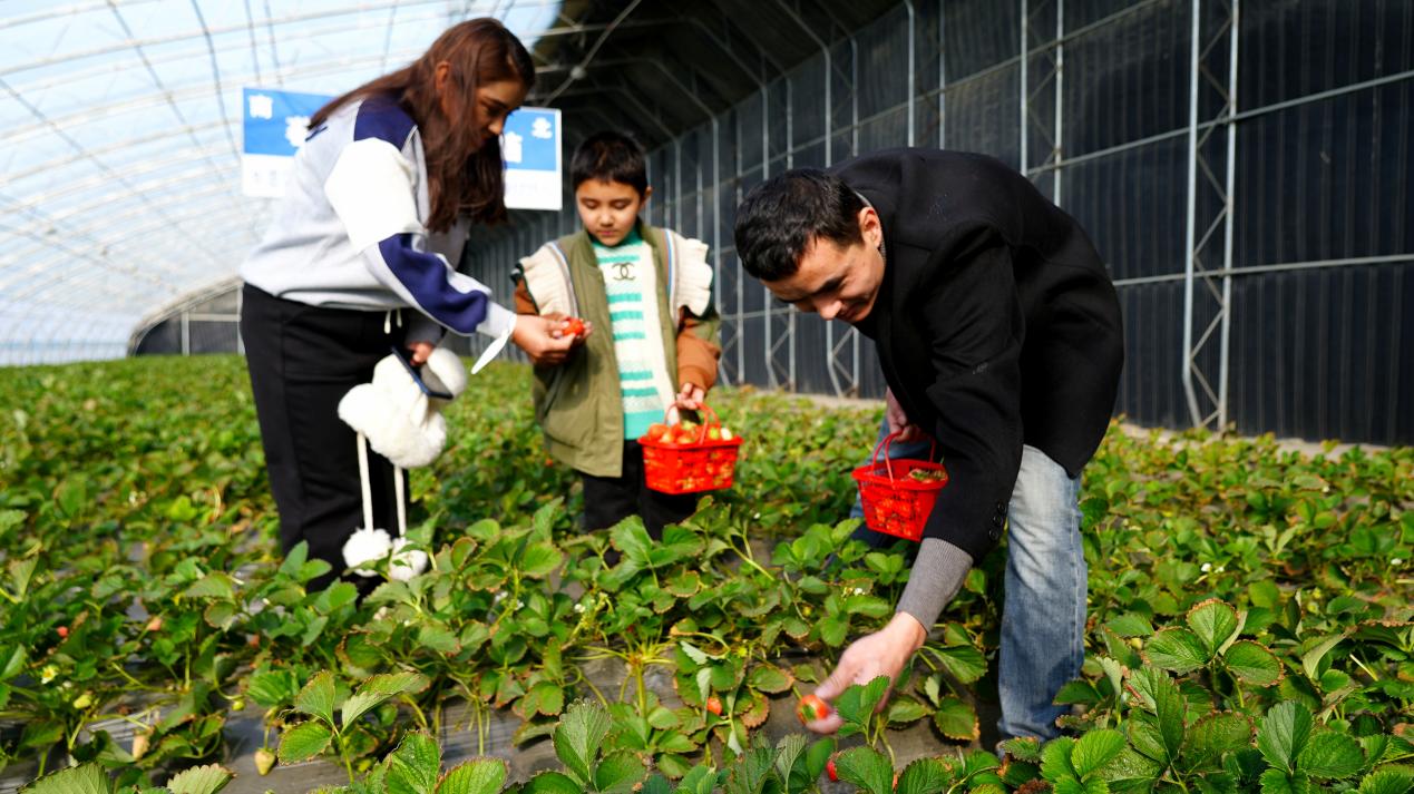 22252dc02425cc2edc11a33baa2cedb