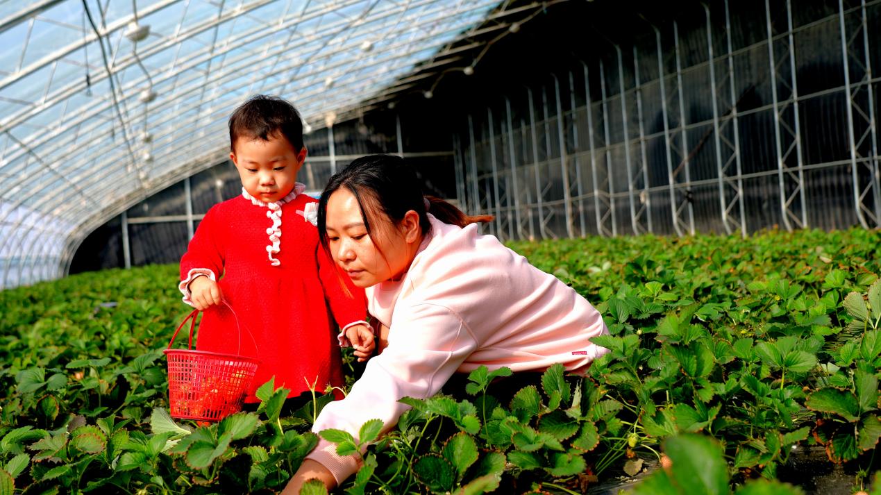 c0321d932e6a378e92ab47006821878