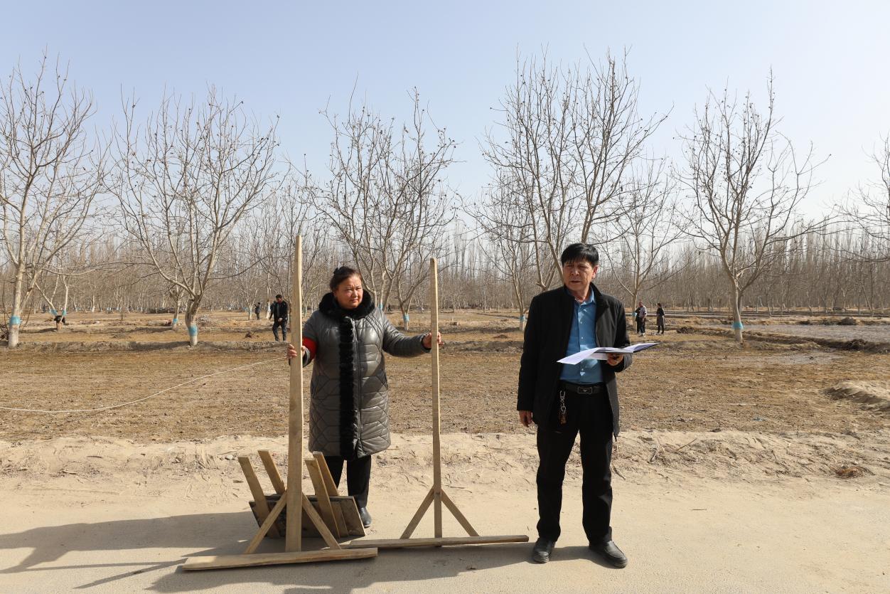 3e118d4a38745b84874513496a011f8