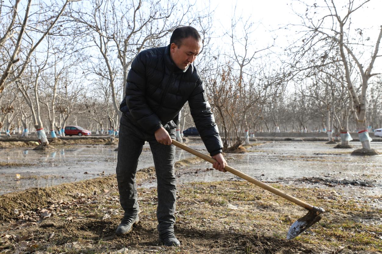 a6fc20a8e4ab16a926fb56c90abe6c2