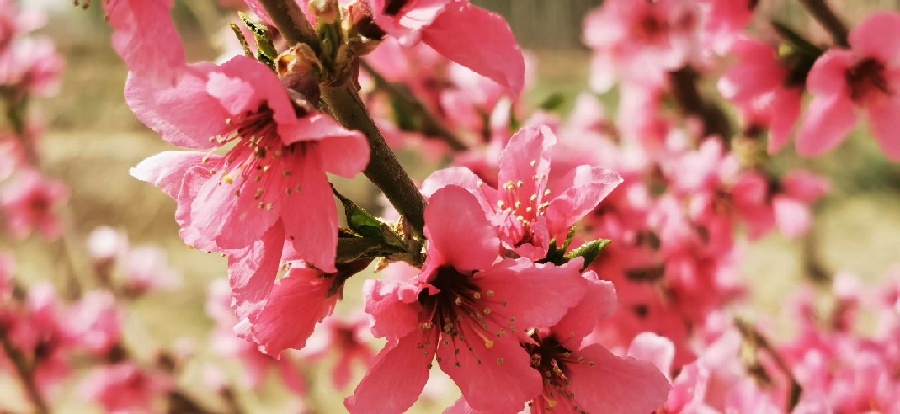 252D466642D8A43477EAC2BF90656CBE