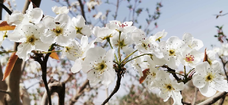 EB71E2F2309E336940656501C49E8112