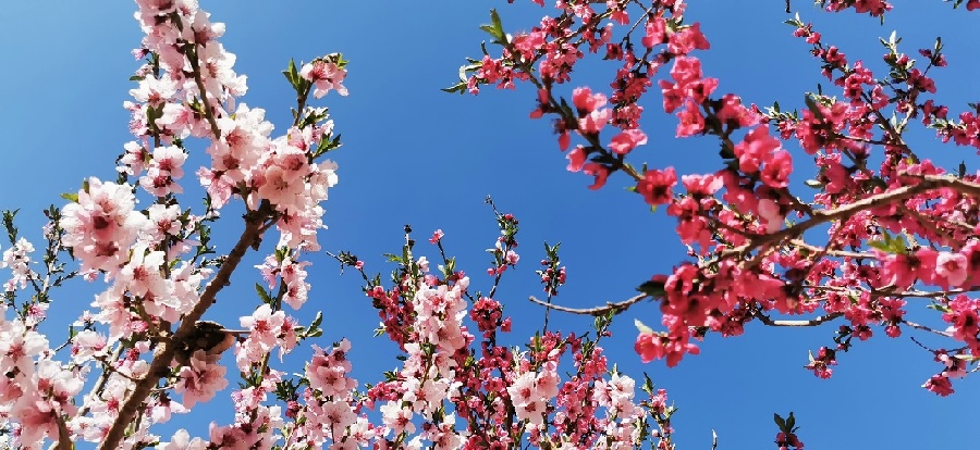 FB98C12A4454D6A92F8D1FF627A57CA7