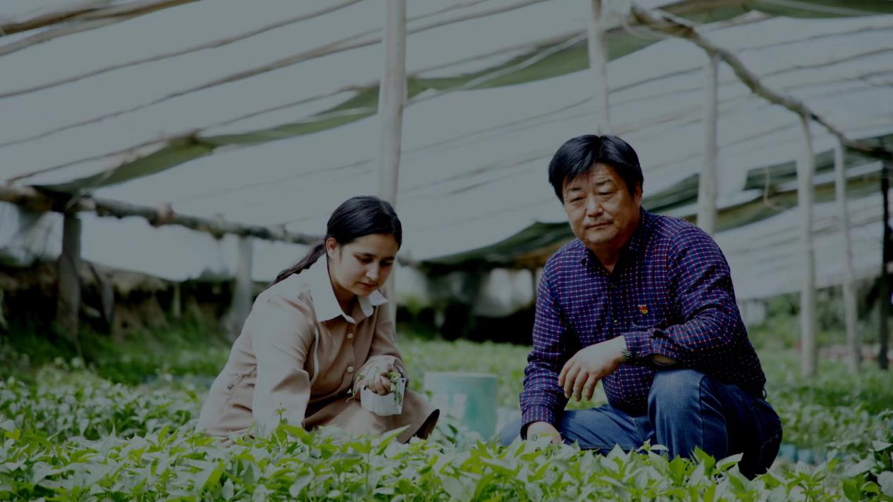 b6e35d84b57f6439830b7ebf06a9653