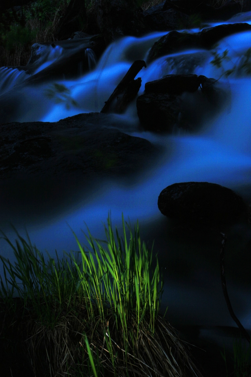 王向阳卡拉卓勒小夜曲