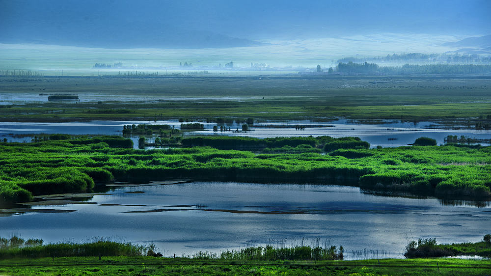可可苏里之晨 冯玲强 13011619877