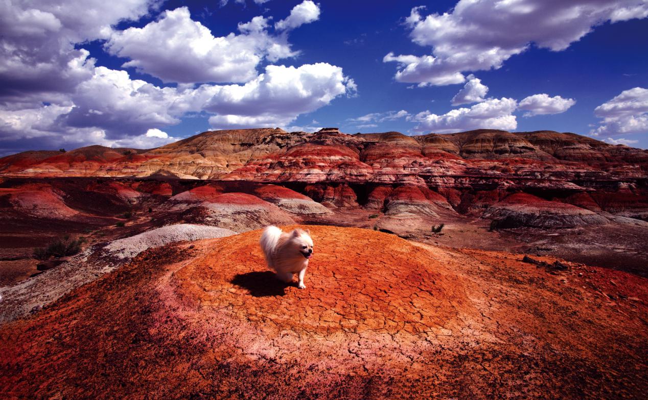 111五彩城雅丹地貌-新疆交通厅.庞增民_摄影