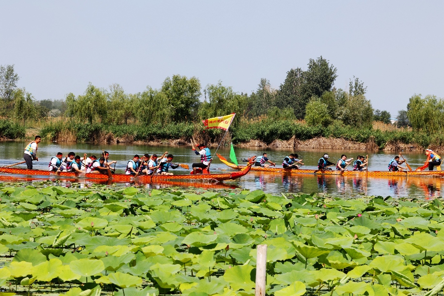 6月23日，杜氏旅游度假区正在进行赛龙舟（梁宏涛摄） (2)