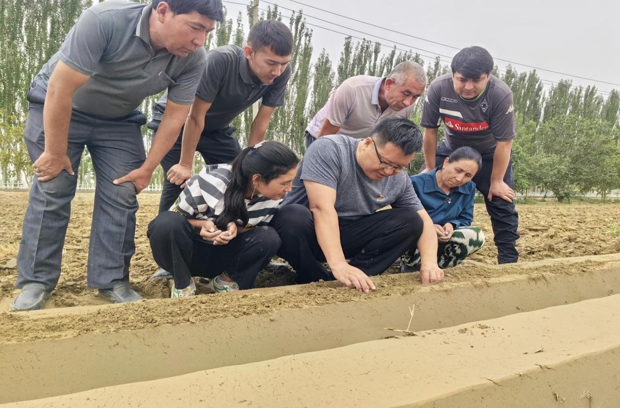 微信图片_202307081438374