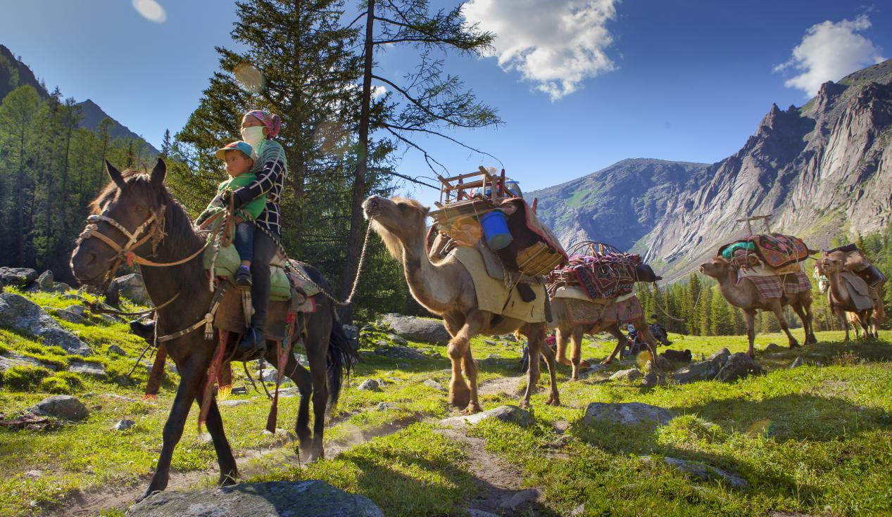 六月的牧场路上