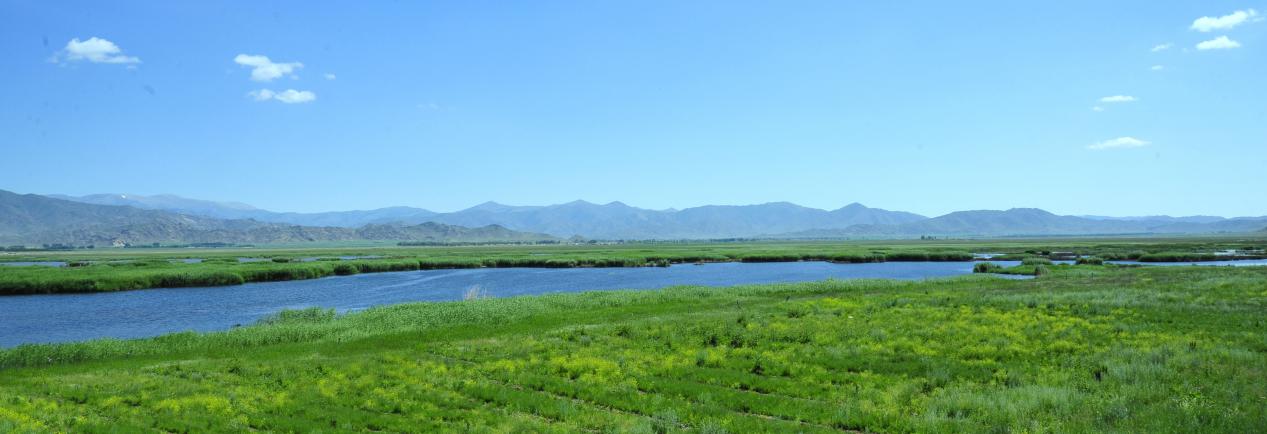 可可苏里照片 144