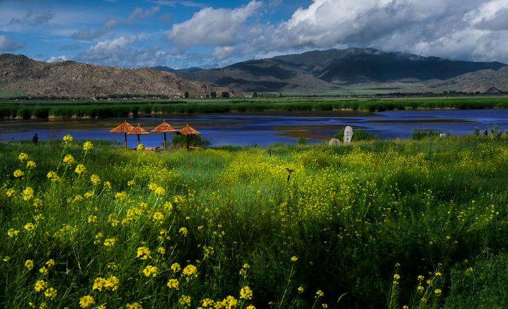 春风又绿苏里岸 冯玲强 13011619877