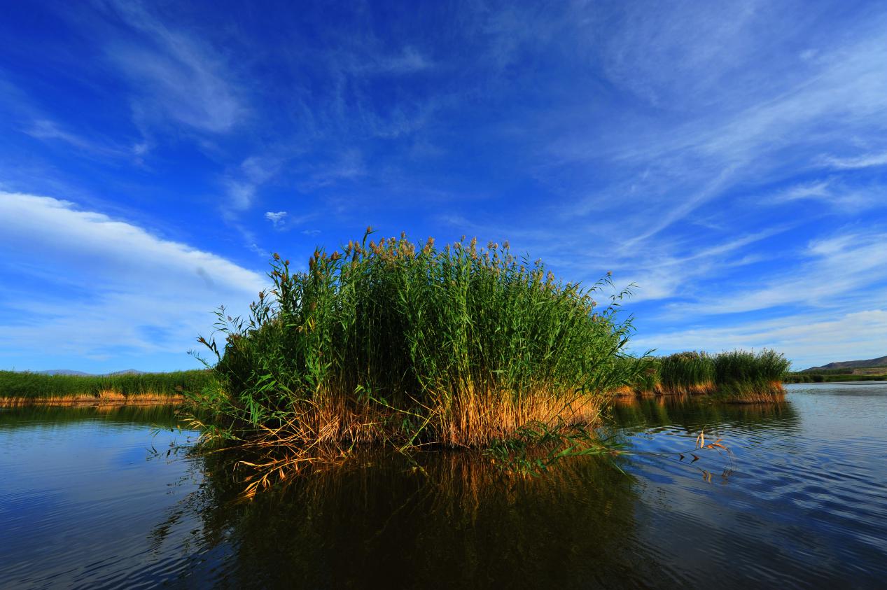 可可苏里（白海亮）