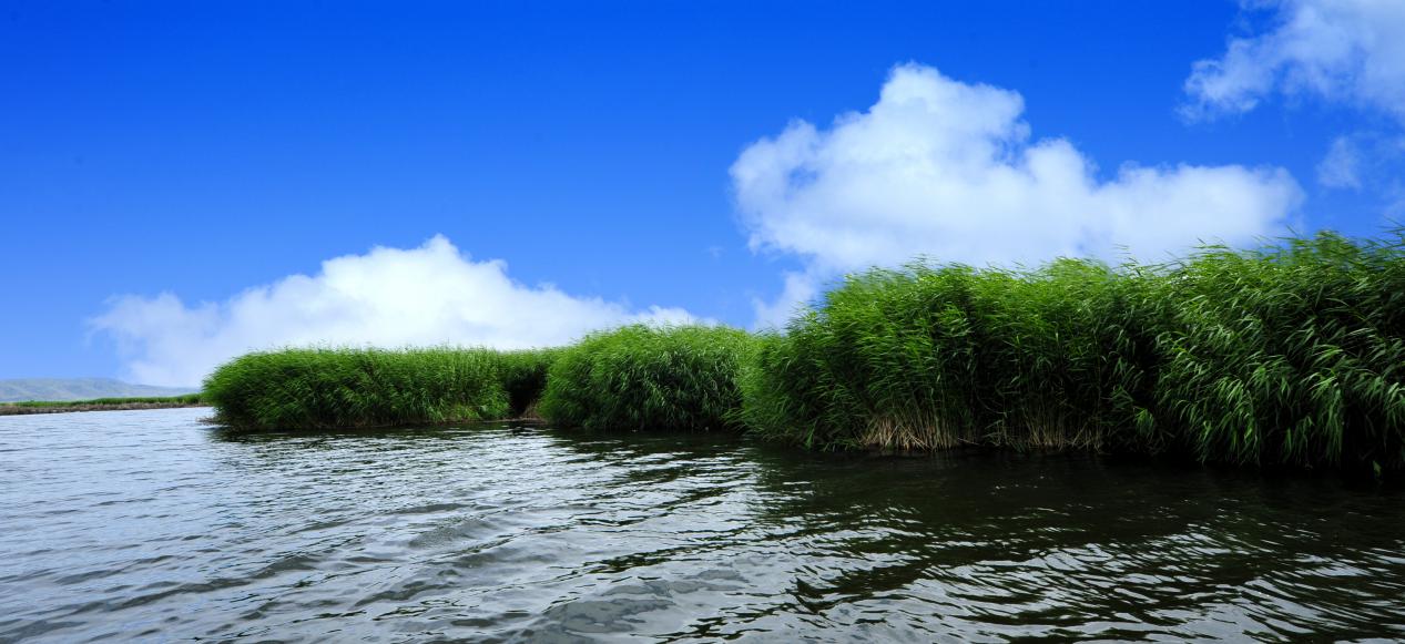 可可苏里照片 252