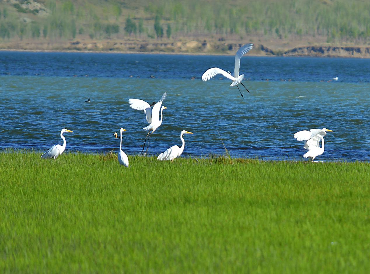 可可托海湿地组照--一.