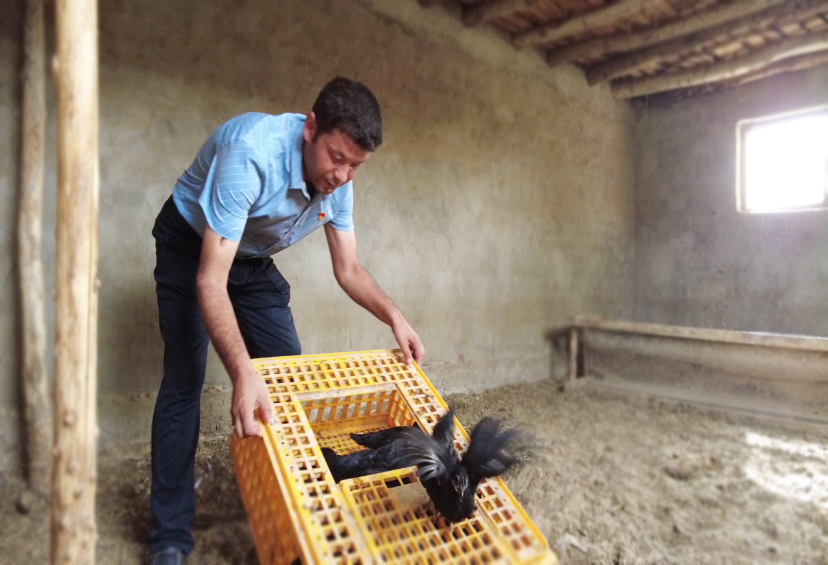 10325988563fea23c07b898c7892e0d