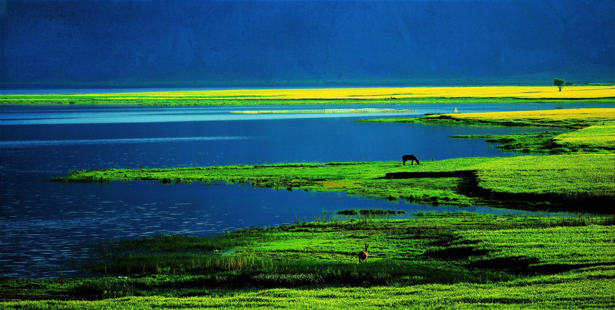 伊雷木湖之夏(富蕴县委宣传部供图)