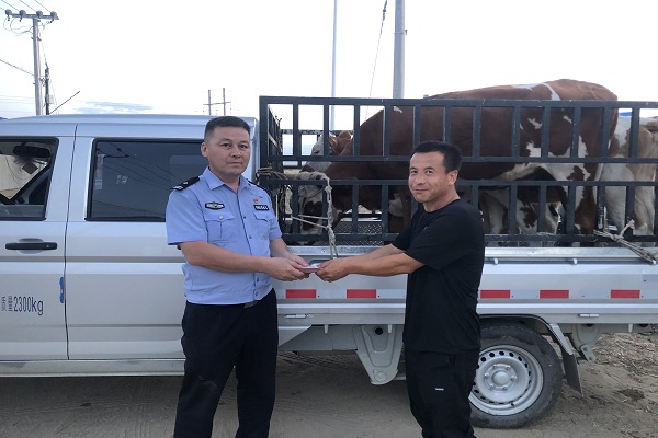 成功破获盗窃黄牛案