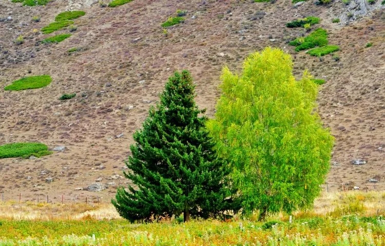 mmexport1690277994088