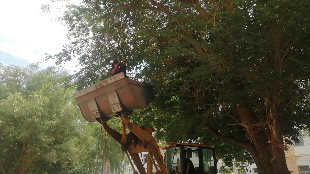 微信图片_20230711185615