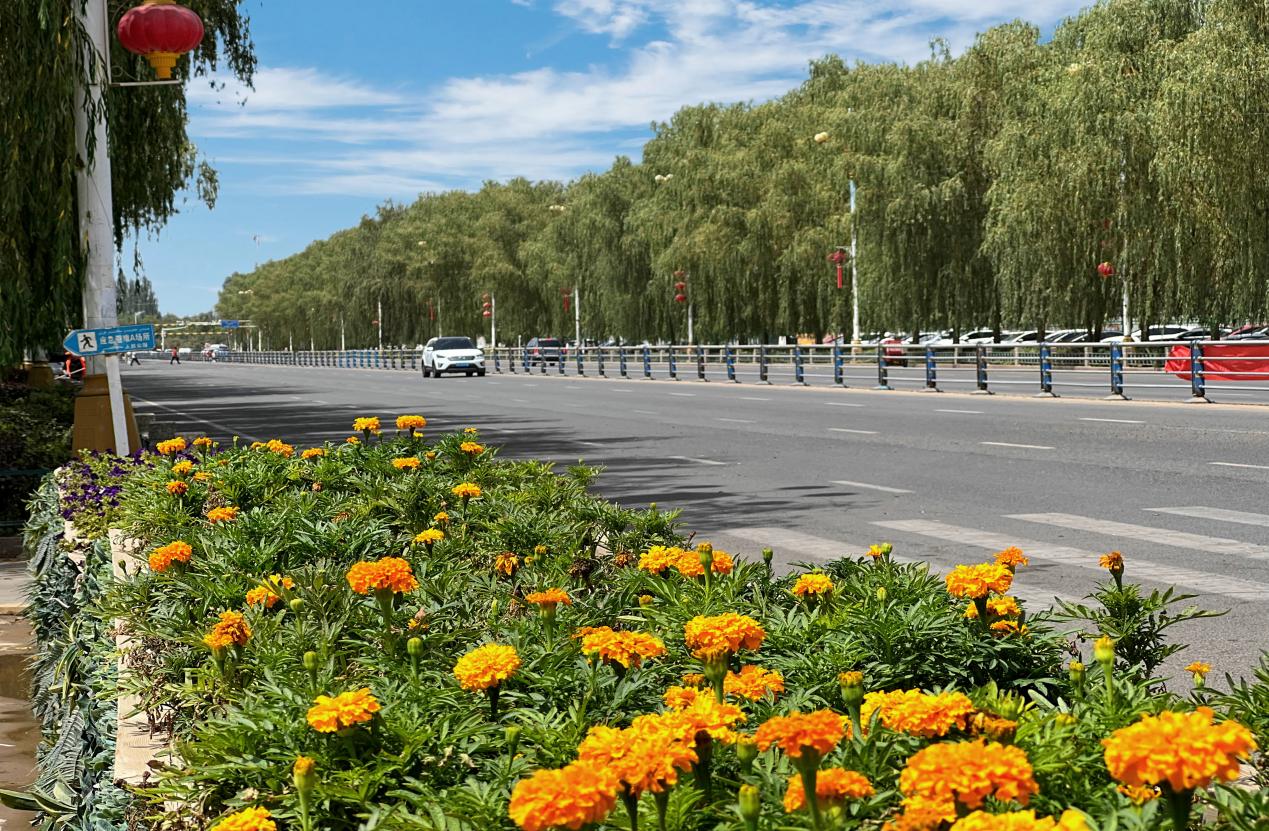 78f85588010957d1aa28f1112f82fb3