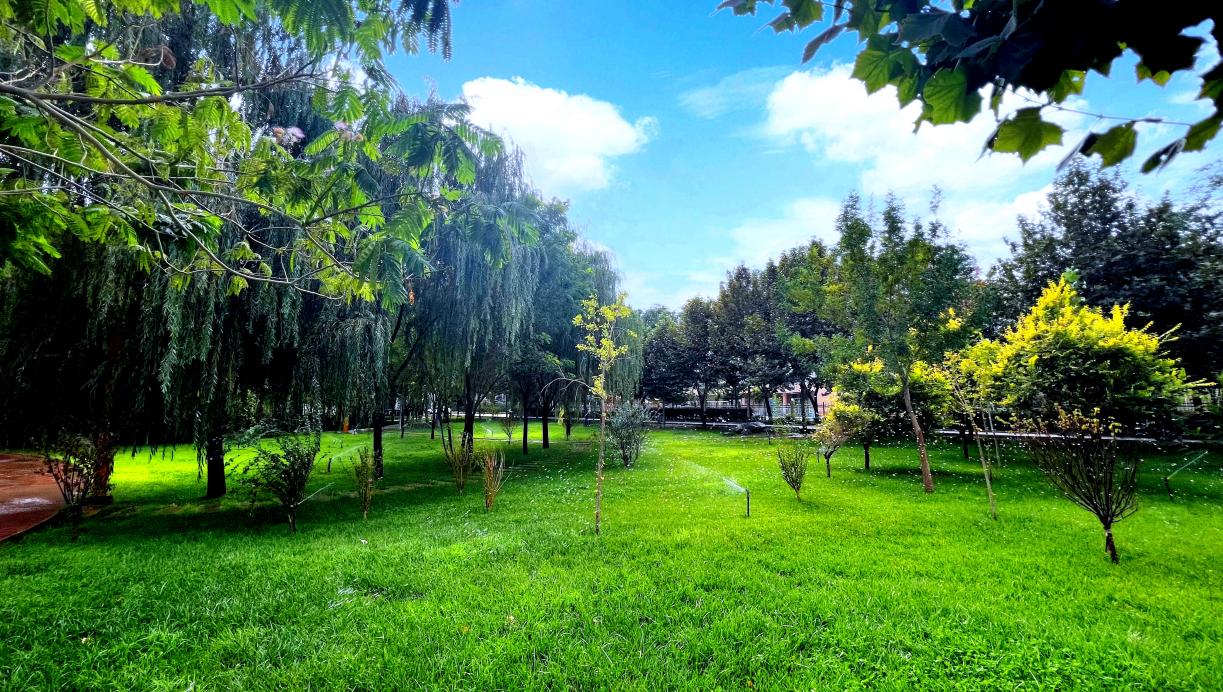 f357c712a72191c38c3aff06719dd79