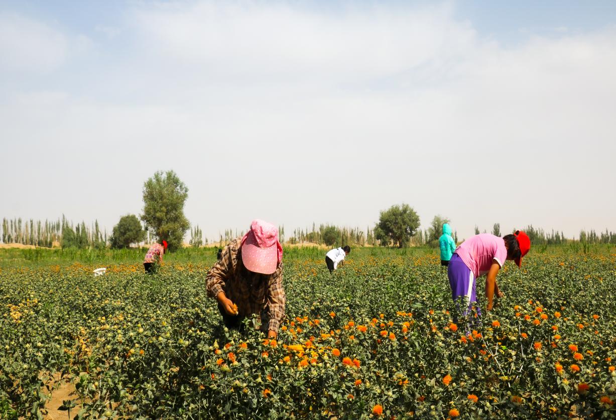 17fa8a9be8974d7ce132575e3753e3d