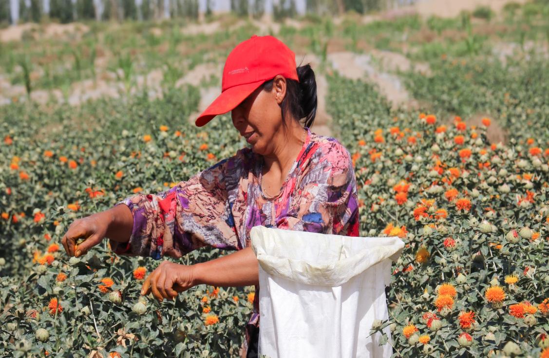 9082345d45c78a3ffa22918a8dfd92b