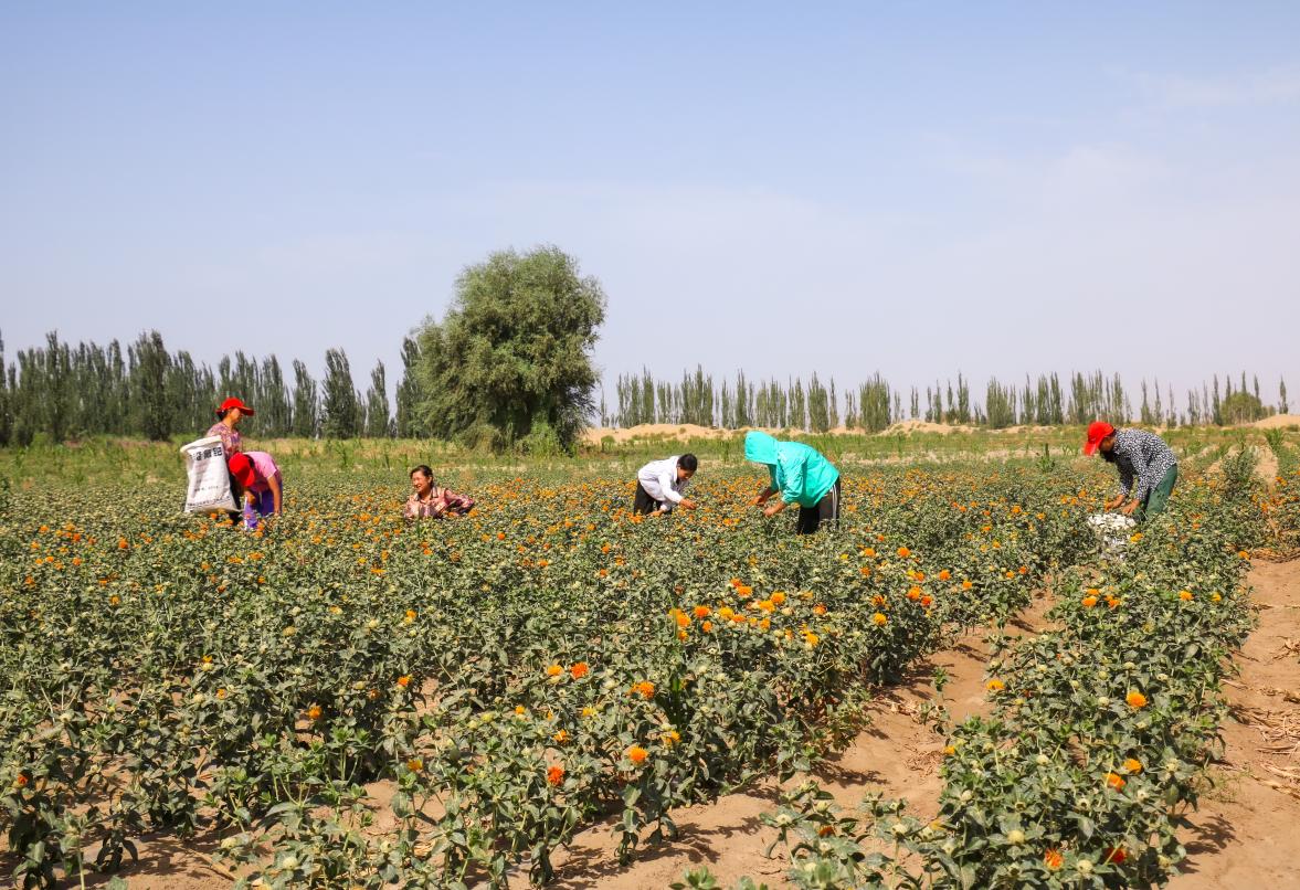 c3cfebc6434210853e8af9348801a8d