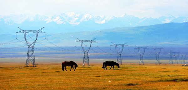 20230825100856056840_副本