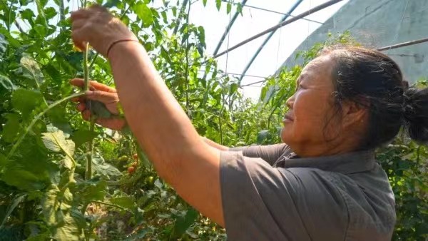 微信图片_20230913120404