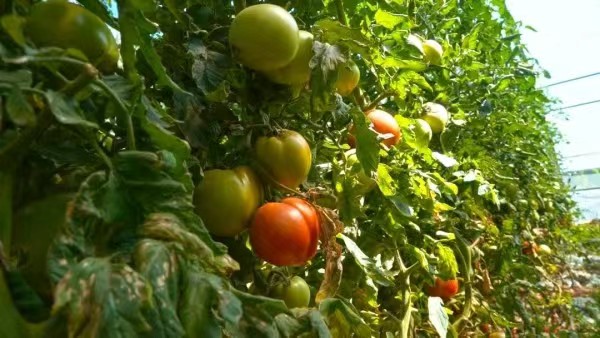 微信图片_20230913120807