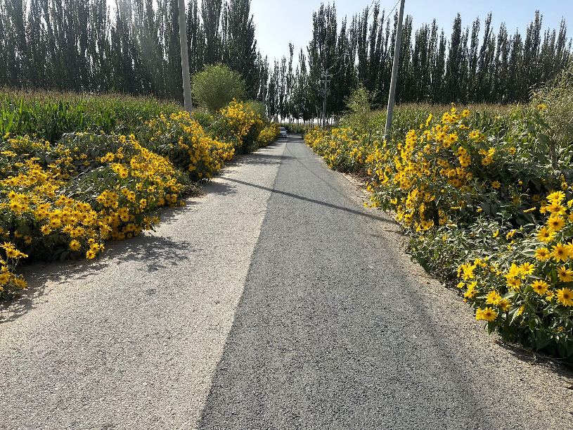 4b5ca947a72fe2511c716e43d1dd06e