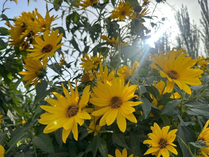 微信图片_202309121923172