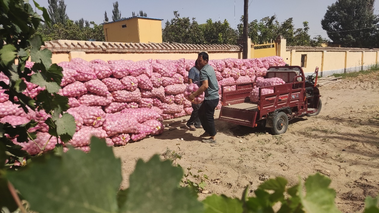 微信图片_20230912180406