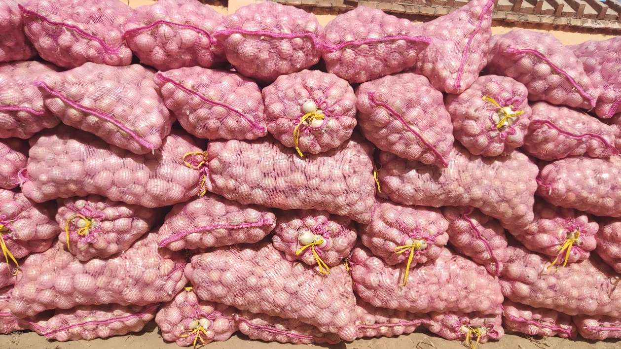 微信图片_20230912180421