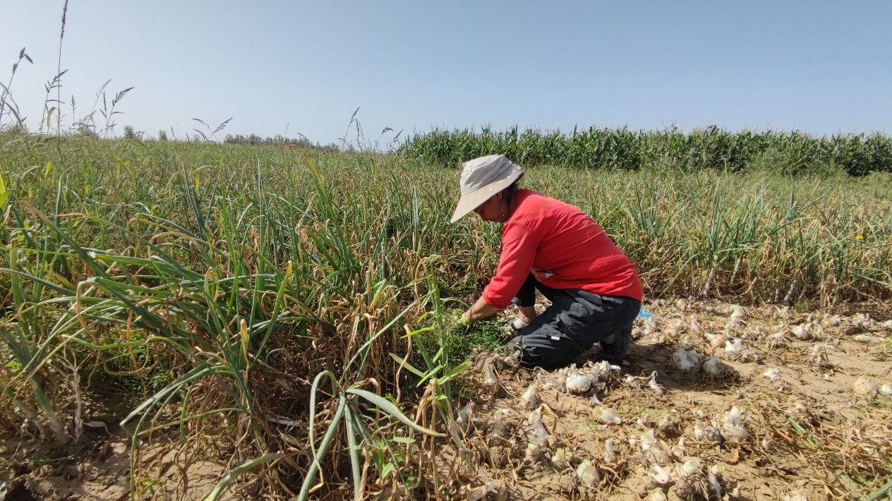 微信图片_20230912180442