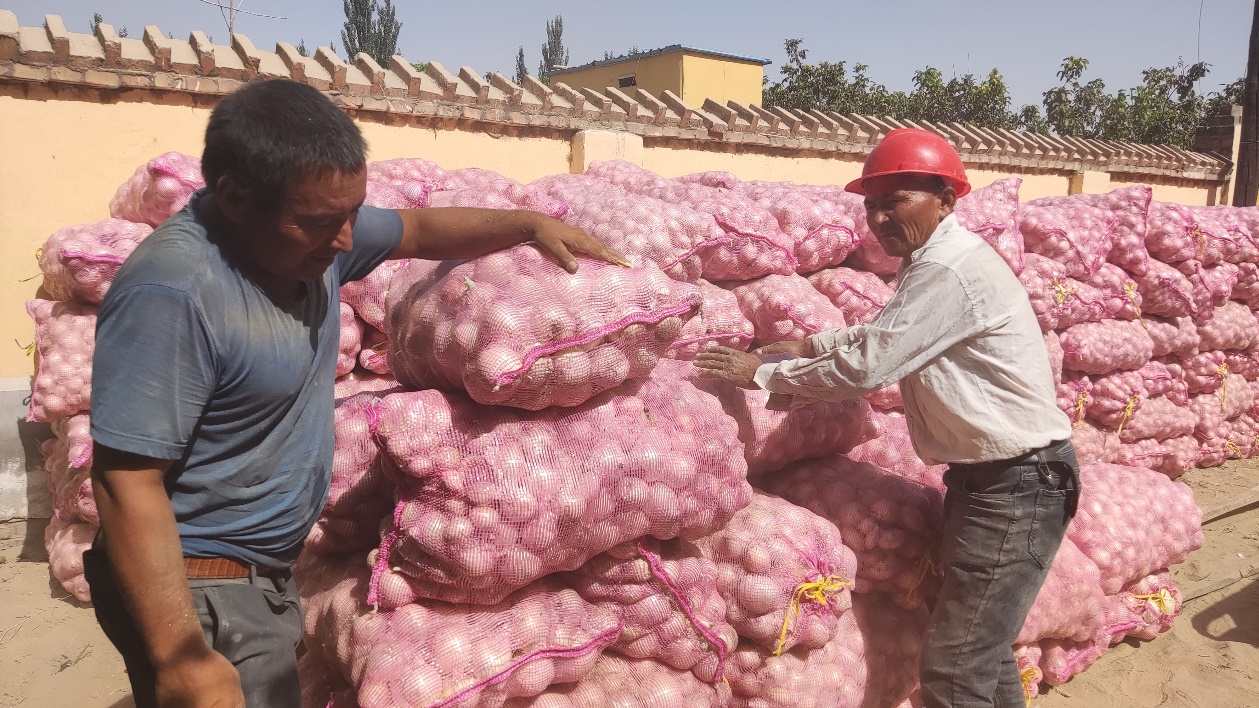 微信图片_20230912180544