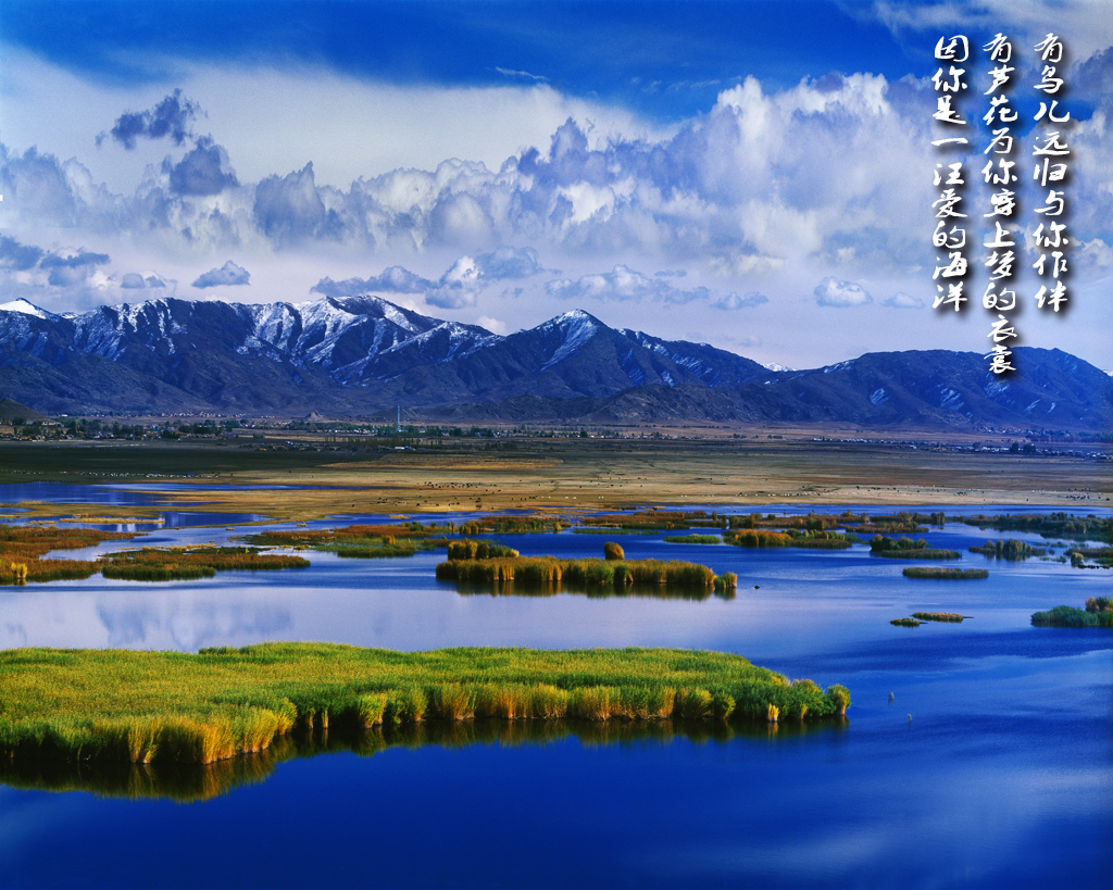 秋&middot;可可苏里