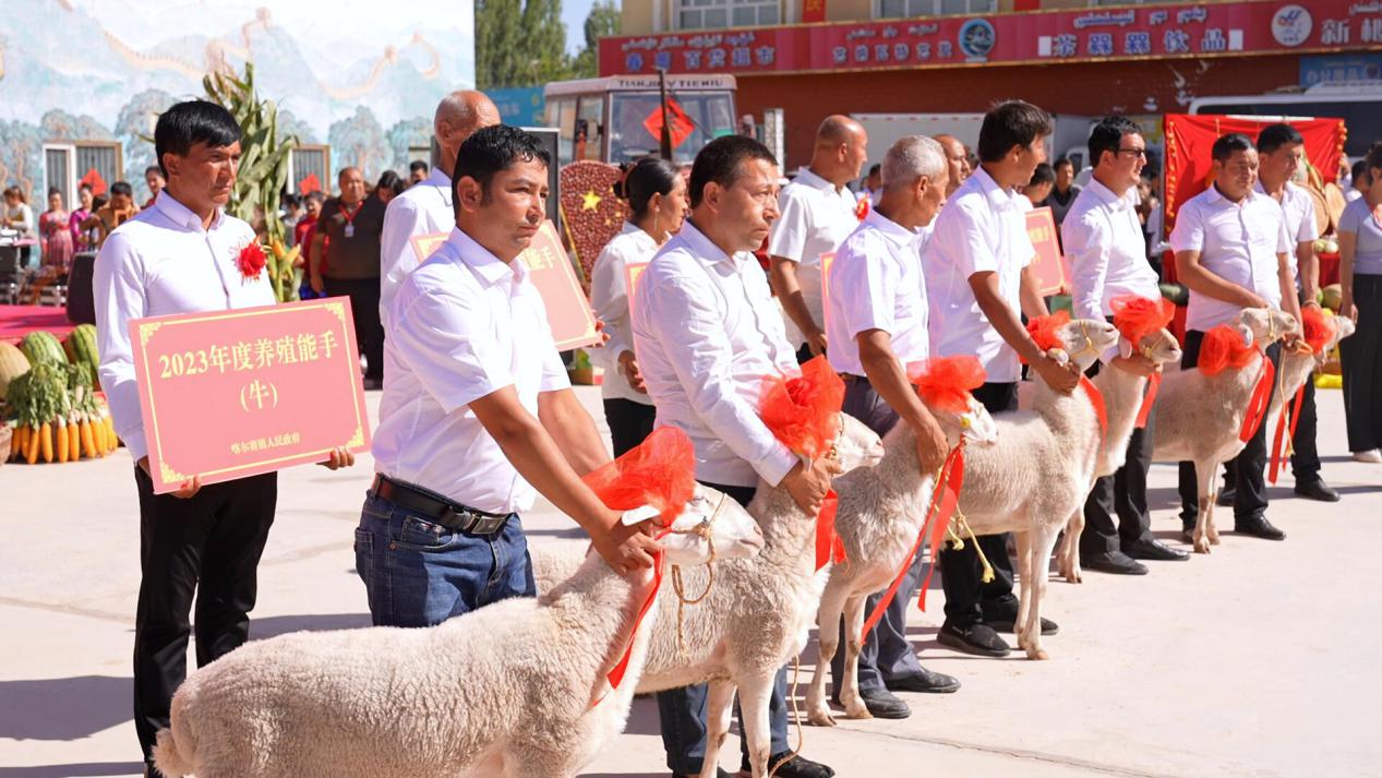 QQ截图20230923204847