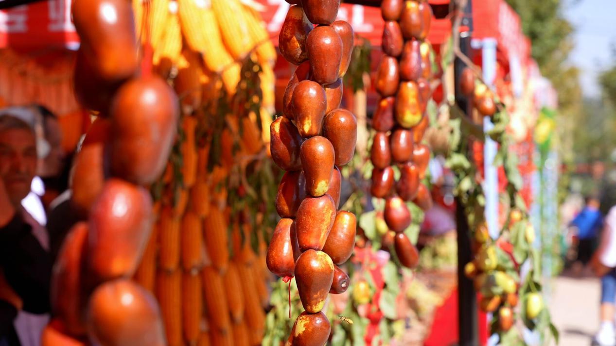 QQ截图20230923205008