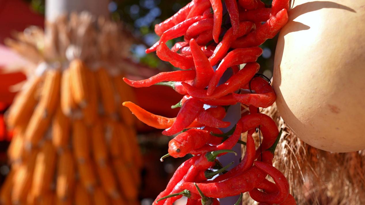 QQ截图20230923205033