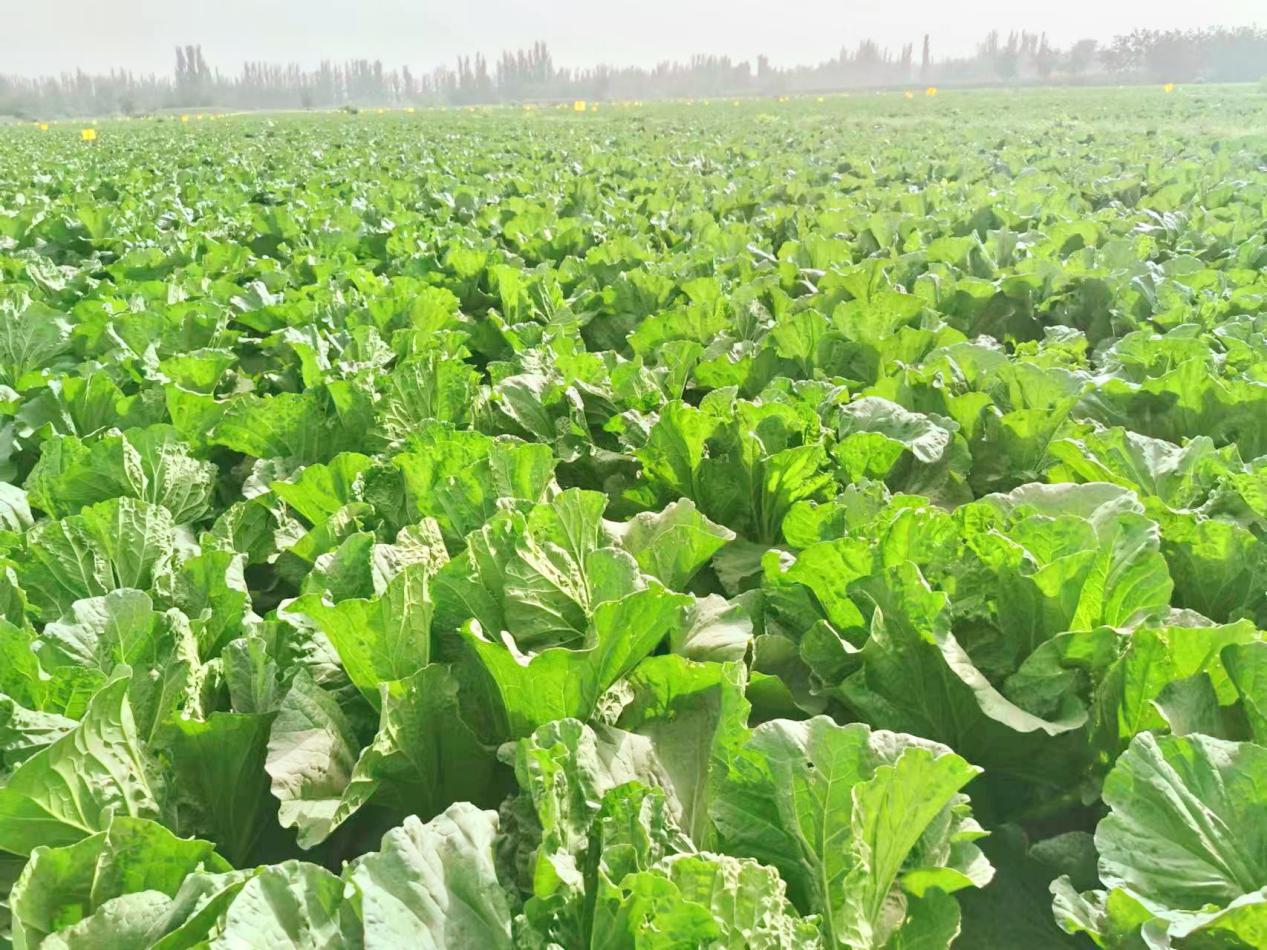 微信图片_20230925122249