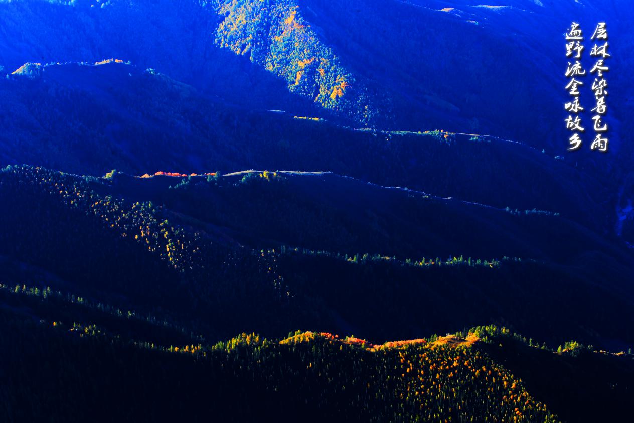 秋&middot;色正浓