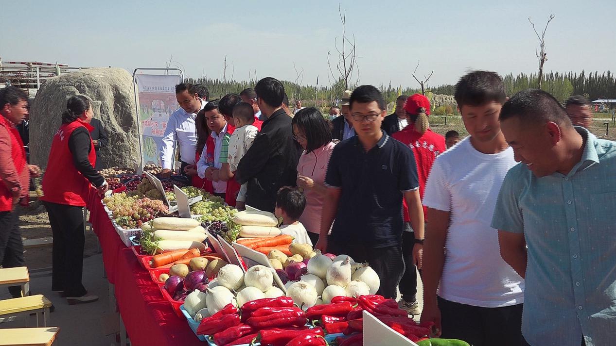 微信图片_20231007095539