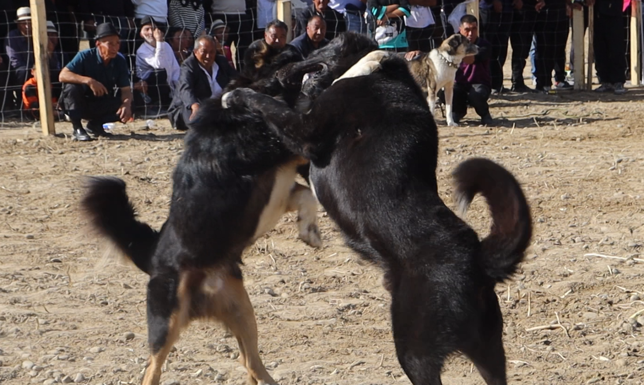 微信图片_20231007095542